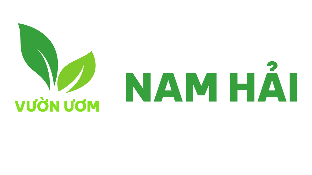 Vườn Ươm Nam Hải