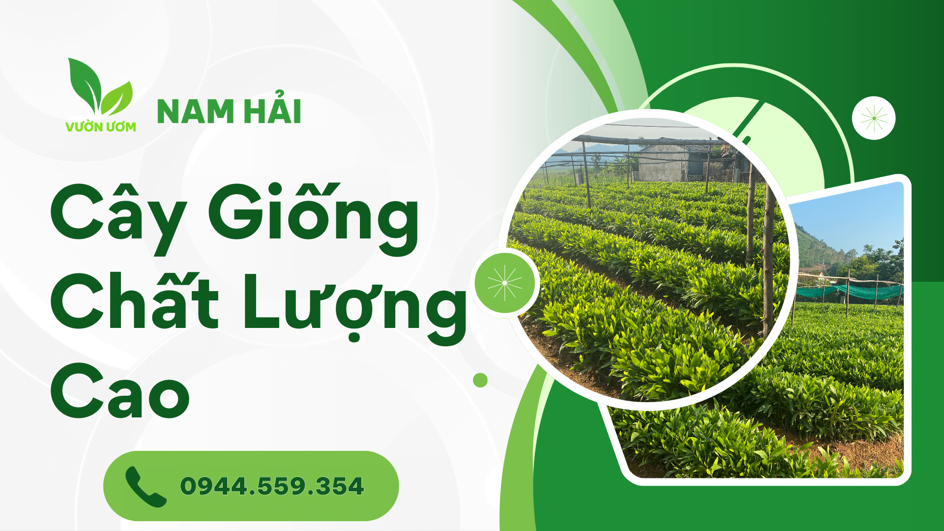 20 Năm Kinh Nghiệm – Vườn Ươm Nam Hải Đồng Hành Cùng Nông Dân Nghệ An