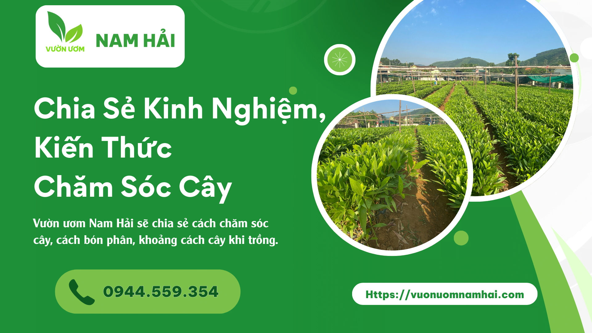 Giao Hàng Tận Nơi, Đúng Hẹn – Dịch Vụ Chu Đáo Của Vườn Ươm Nam Hải
