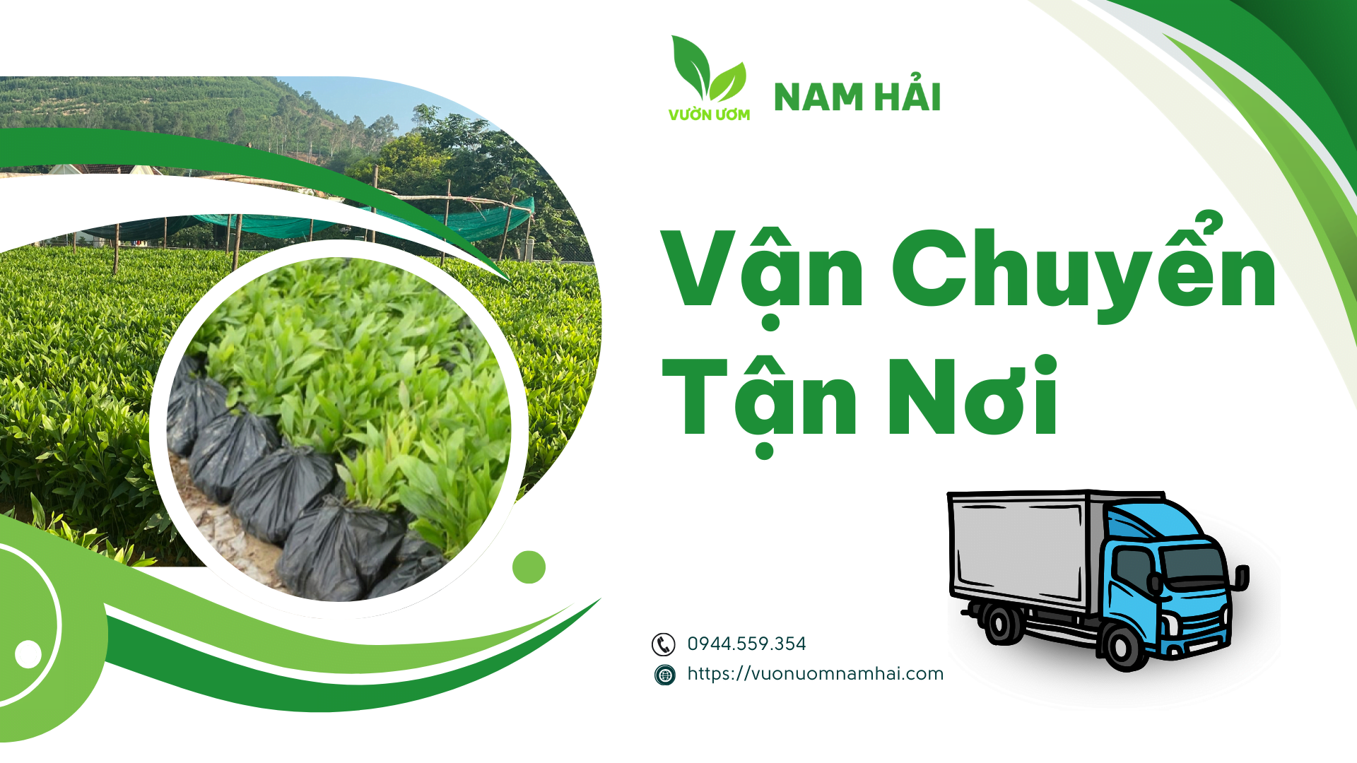 Vườn Ươm Nam Hải: Địa Chỉ Tin Cậy Cho Những Ai Muốn Trồng Tràm