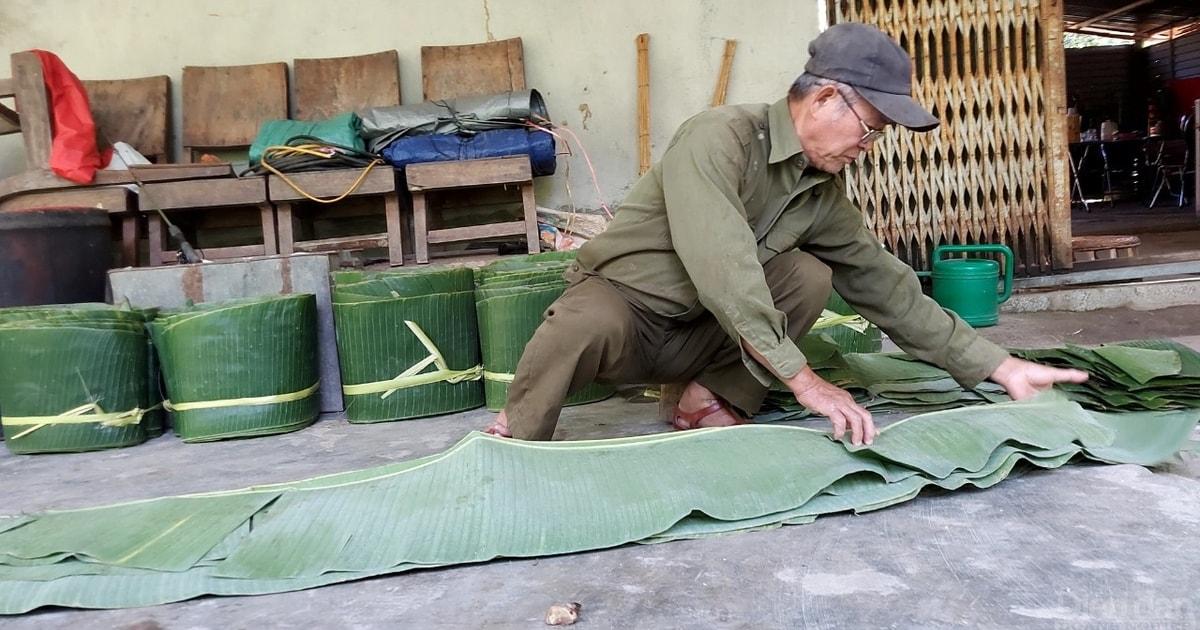Cây xanh trên đất khô cằn