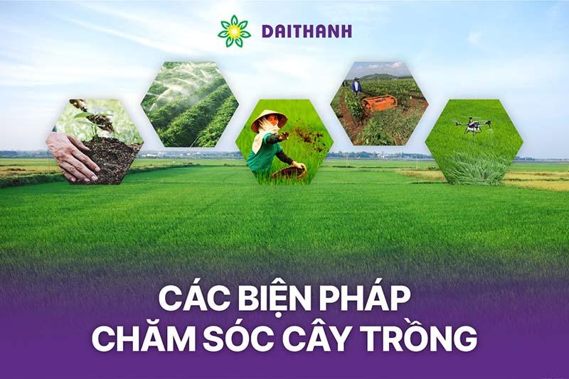Chăm sóc cây trồng