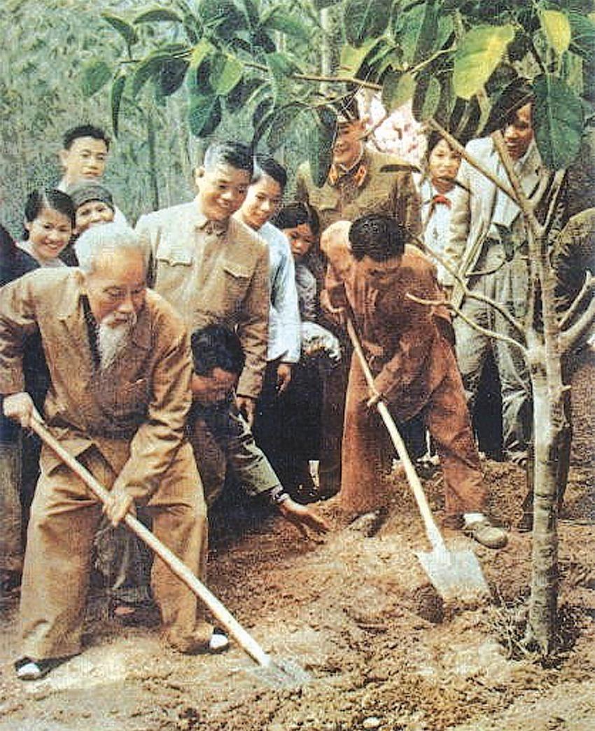 Trồng cây mùa xuân
