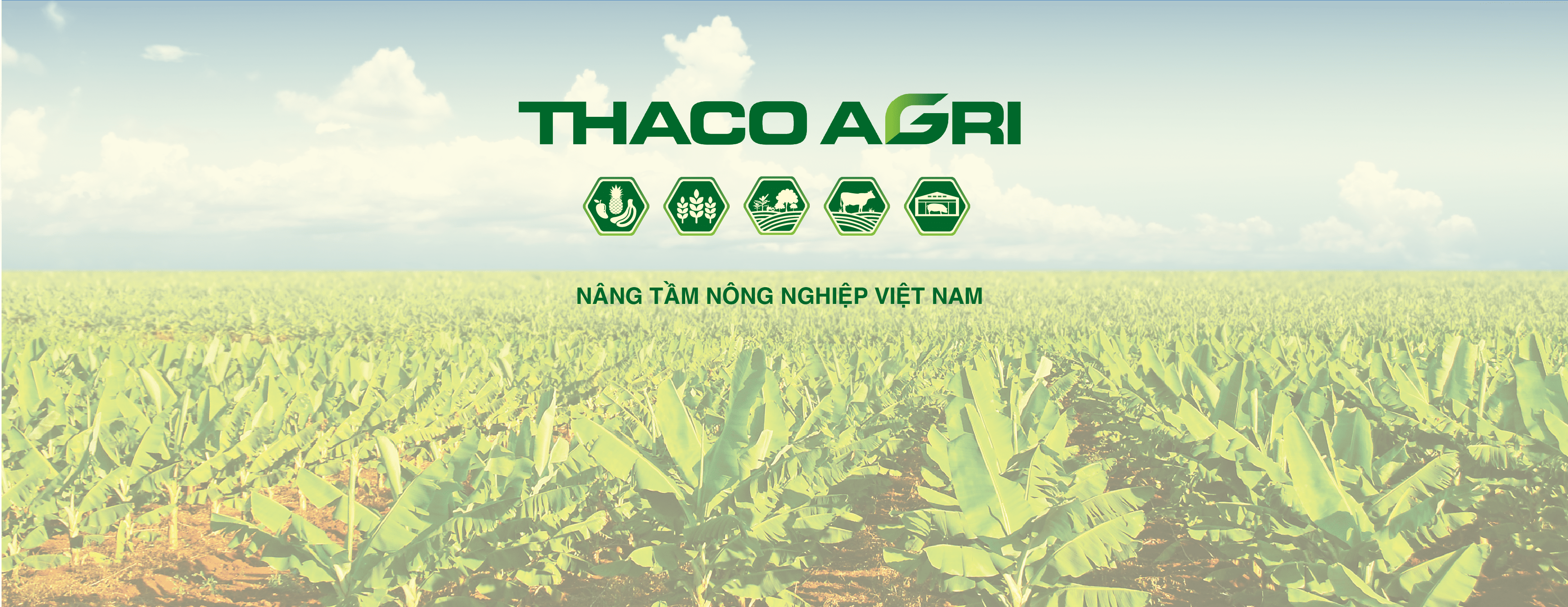 Logo Vườn Ươm Nam Hải