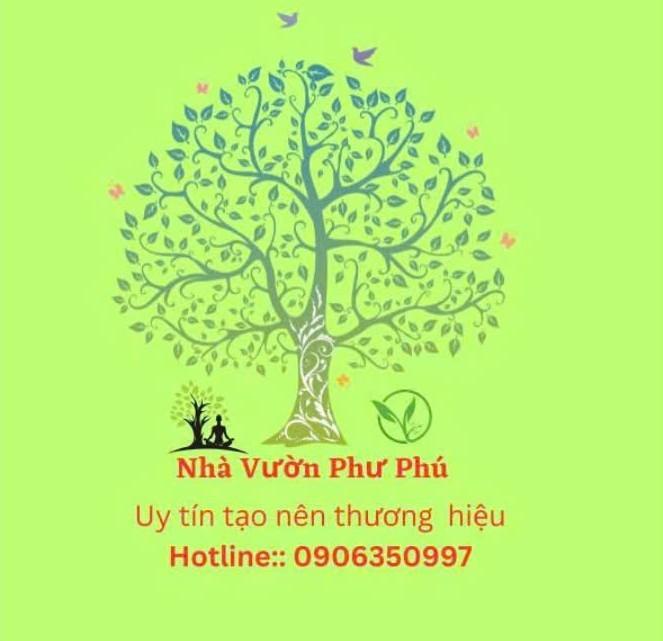 Rừng bạch đàn 3229 trưởng thành cho năng suất cao