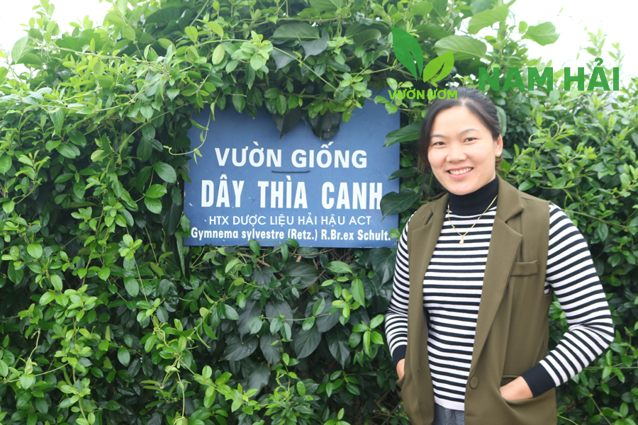 Toàn cảnh vườn ươm Nam Hải cung cấp cây giống chất lượng